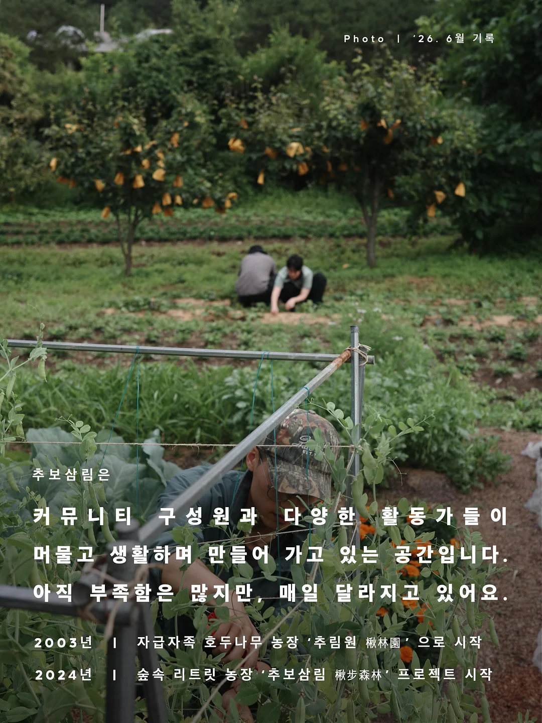 라미네이트 14