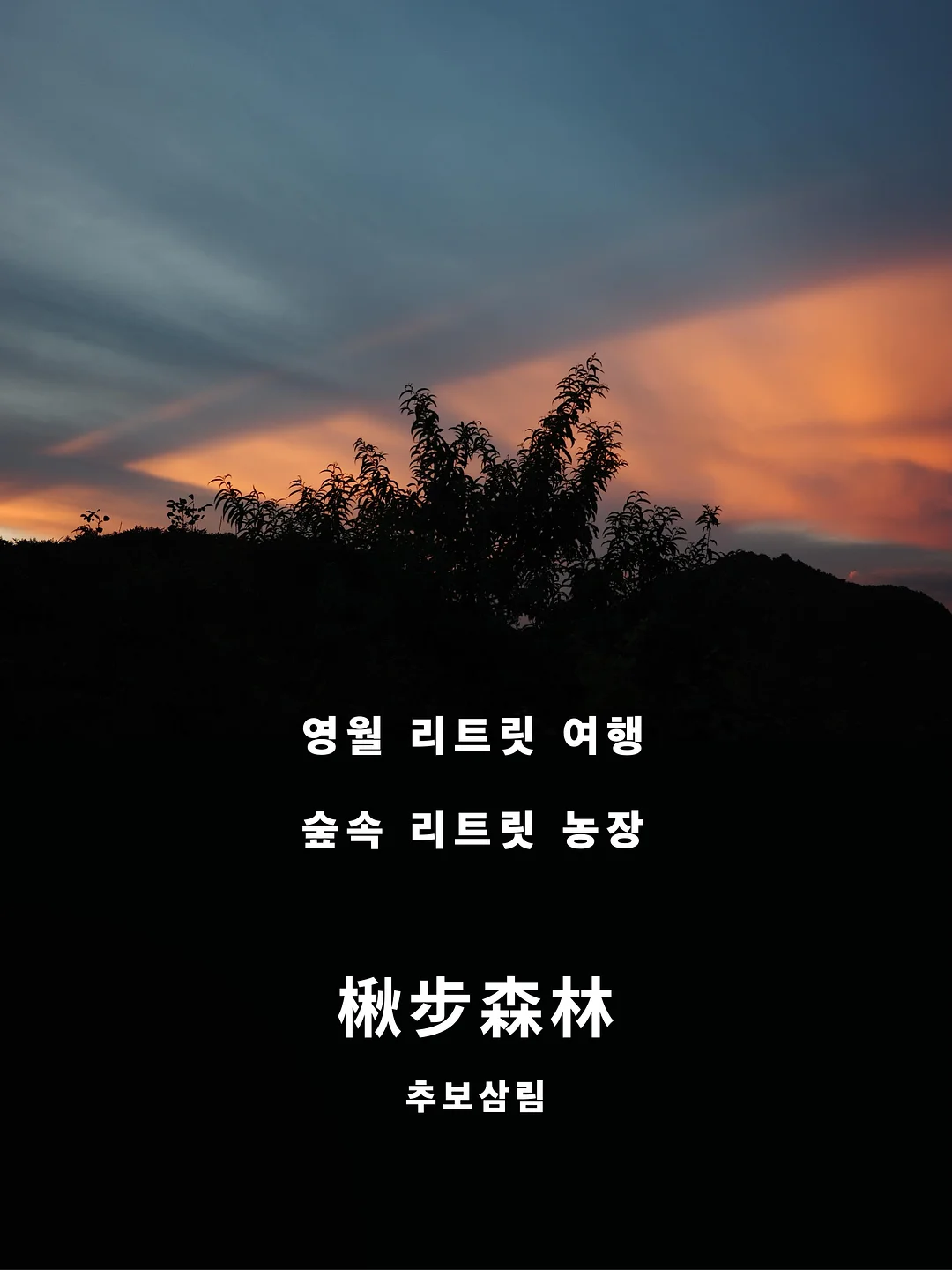 라미네이트 20