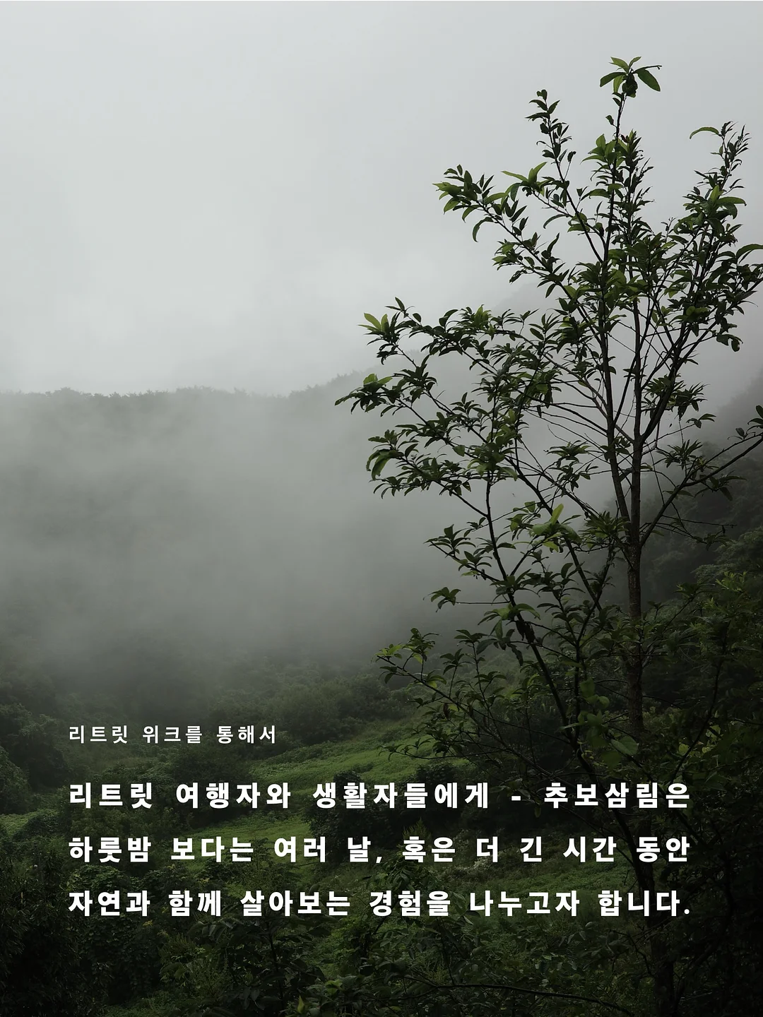 라미네이트 4