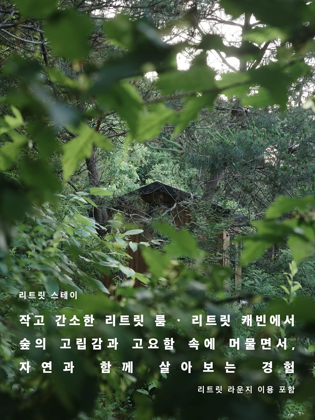라미네이트 6