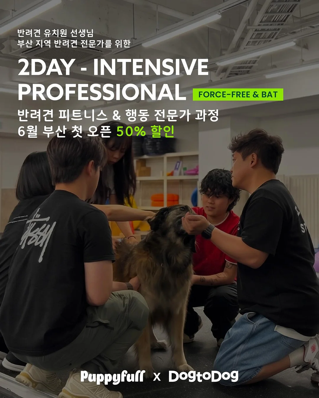 그리스로마신화 수업 1