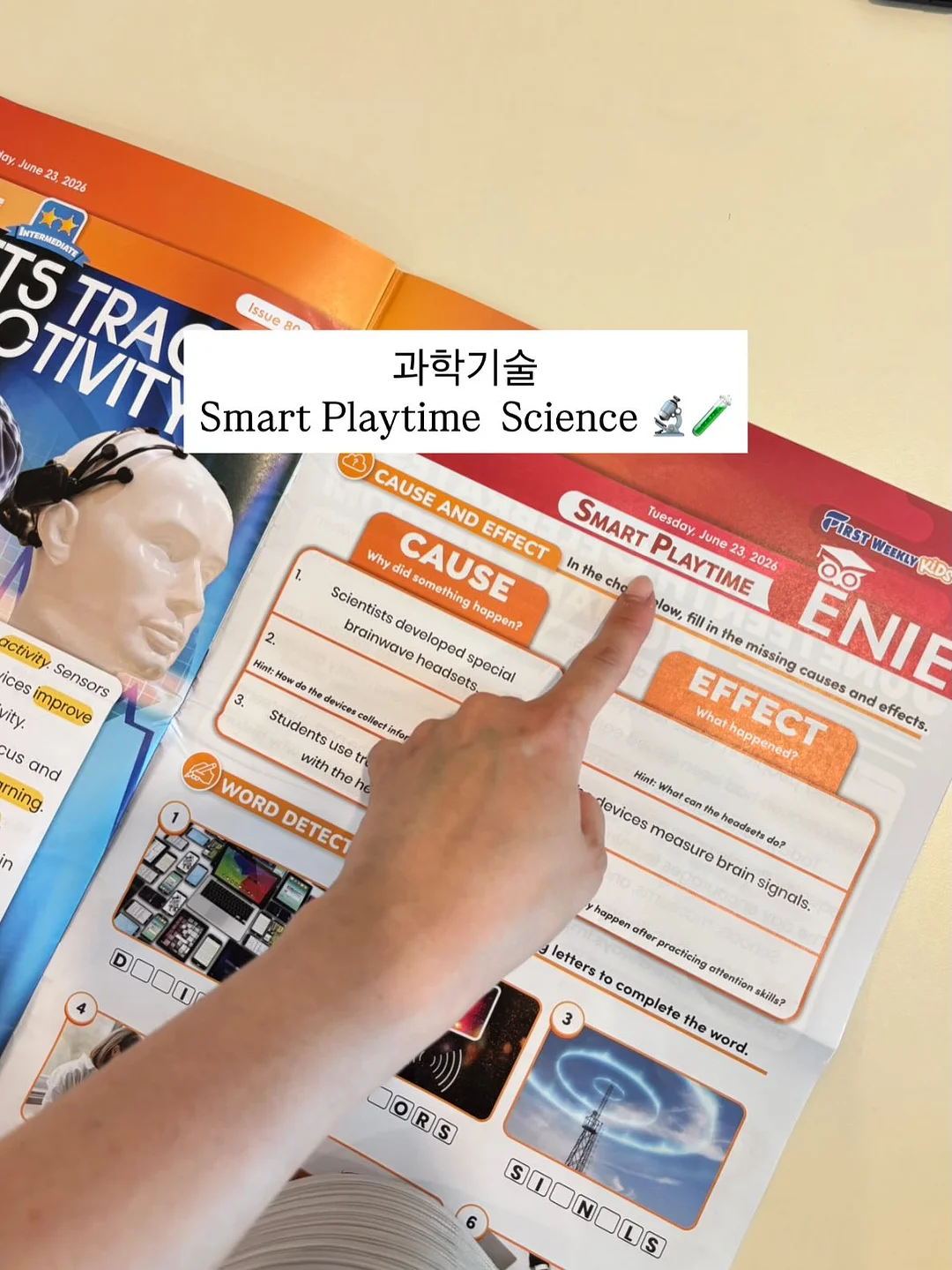 플렌티플랜트 브루버드 샴푸 8
