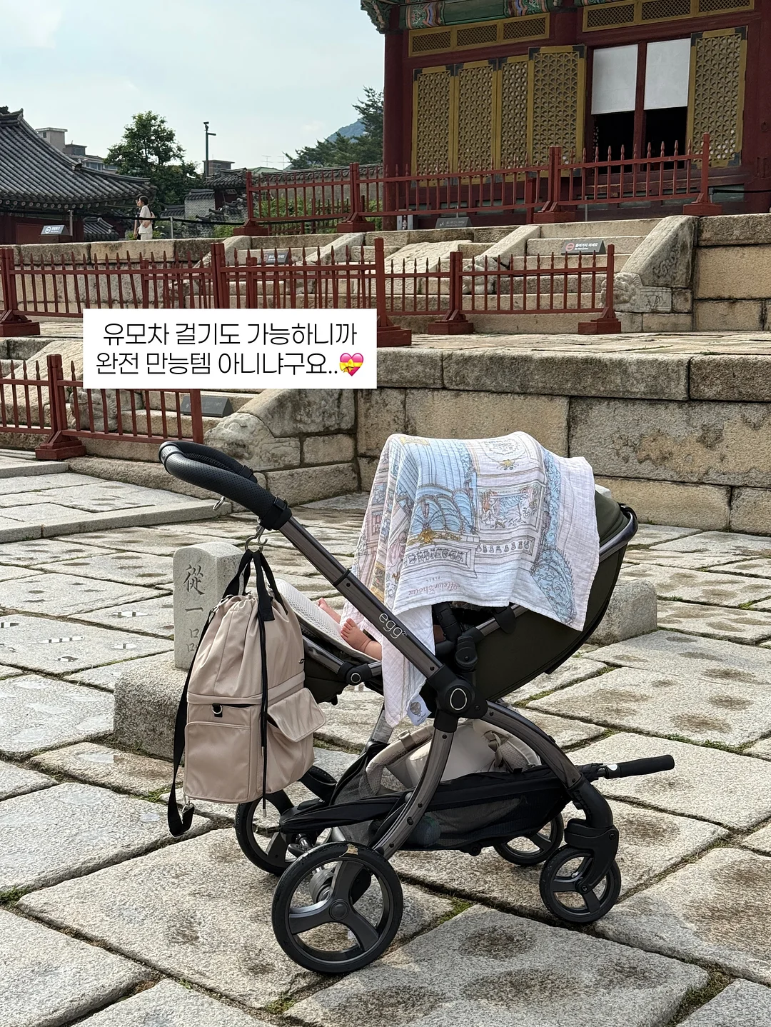 데이지크 폴리포켓 콜라보 시딩깡 9