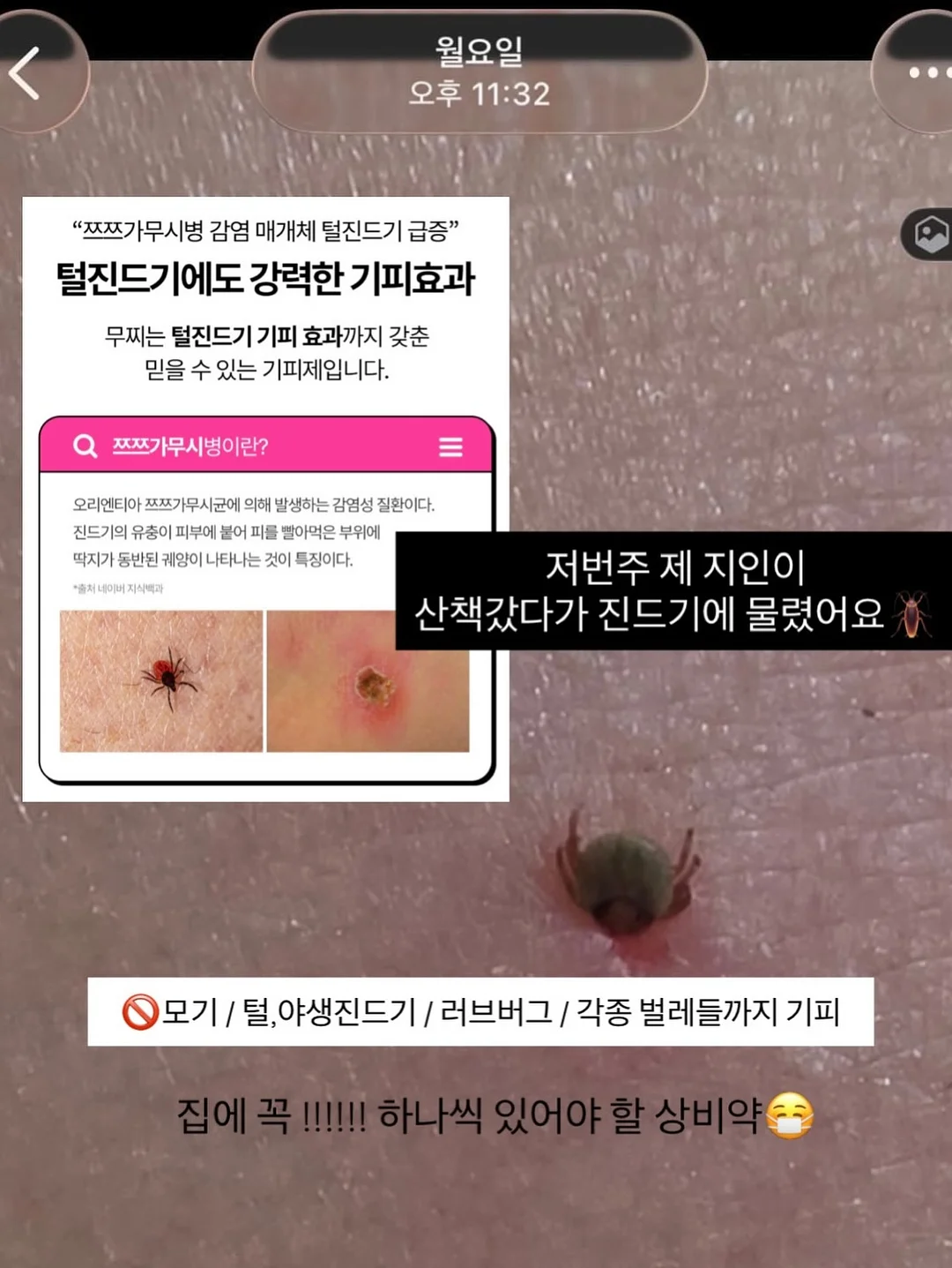 헤세드 삼각스카프 9