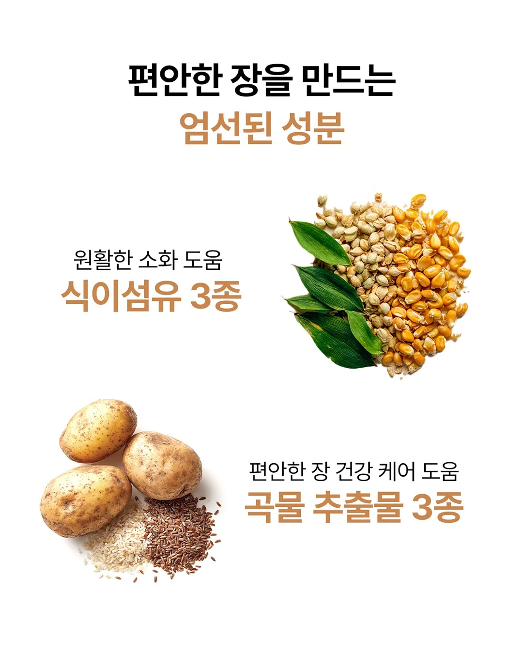 김전일 아빠의 사건부 3 11