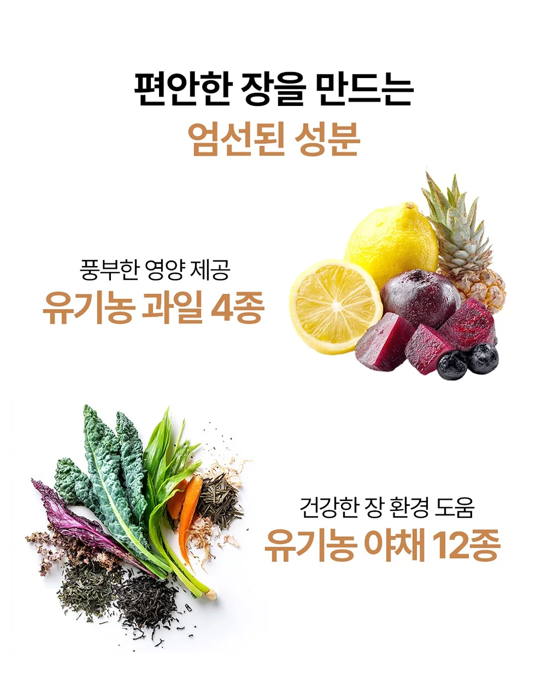 김전일 아빠의 사건부 3 12