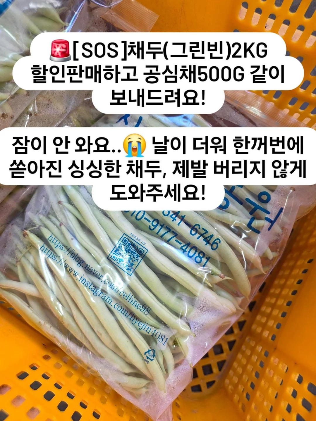 소르네 캘린더플레이트 1