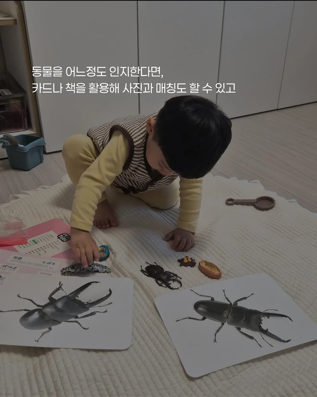 비비엔다 냉감 블랭킷 6