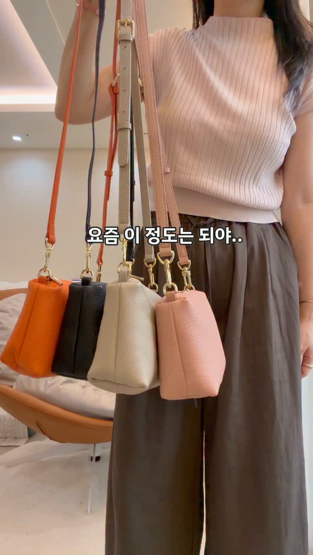 손질 통오징어 6미