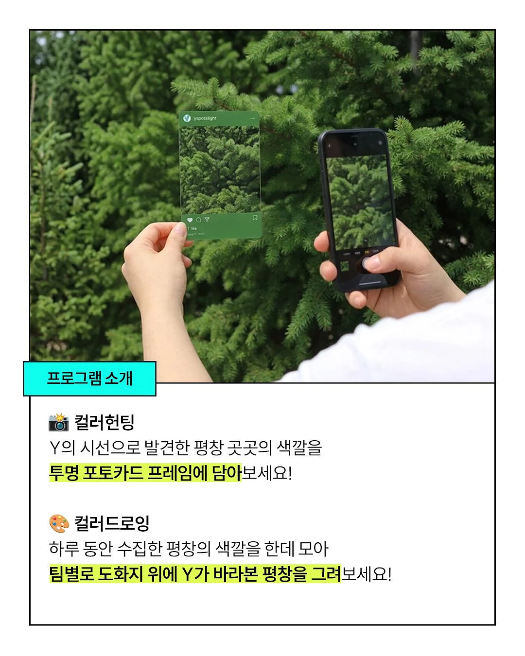 디자이너 도매브랜드 기획 블라우스 3
