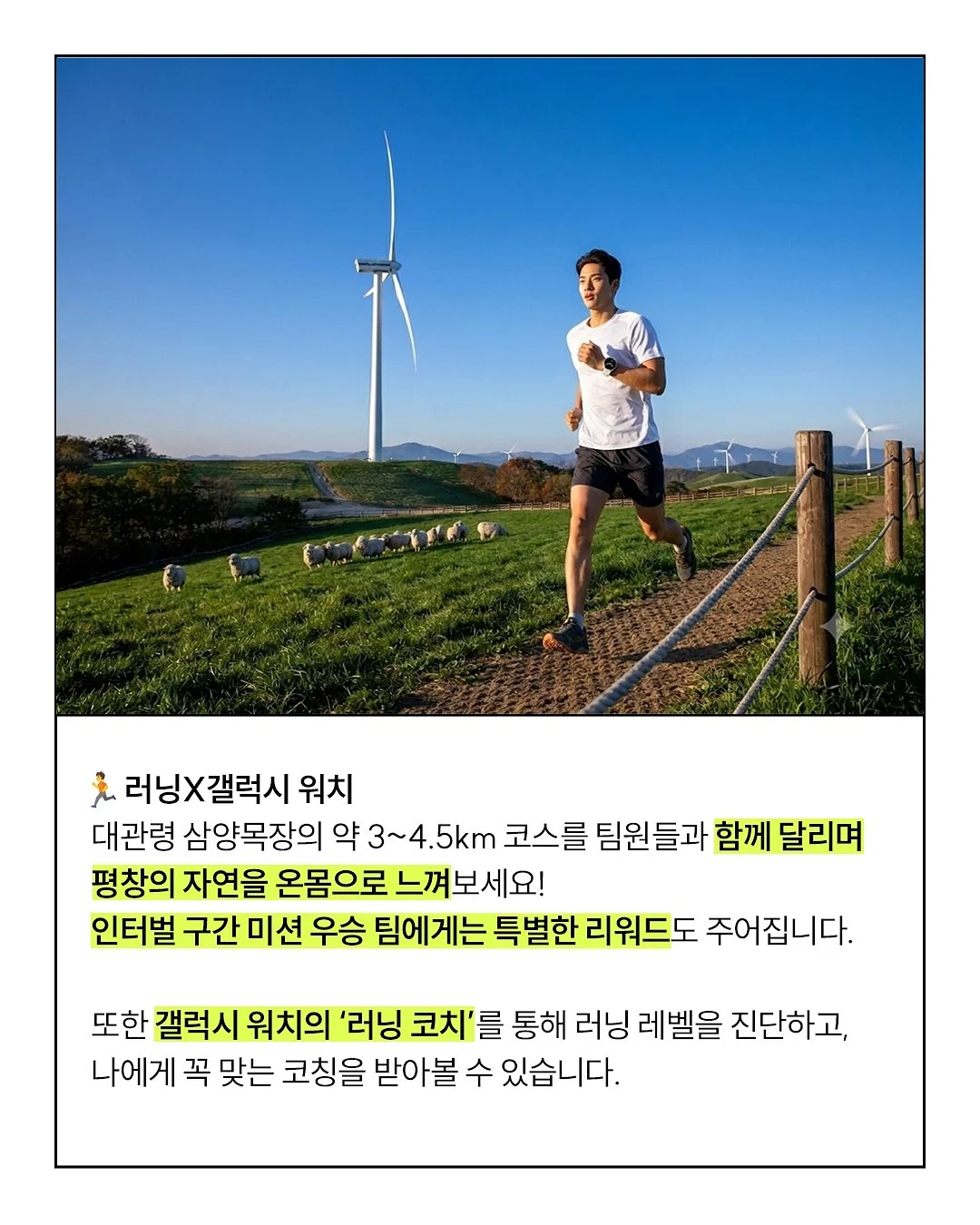 디자이너 도매브랜드 기획 블라우스 4