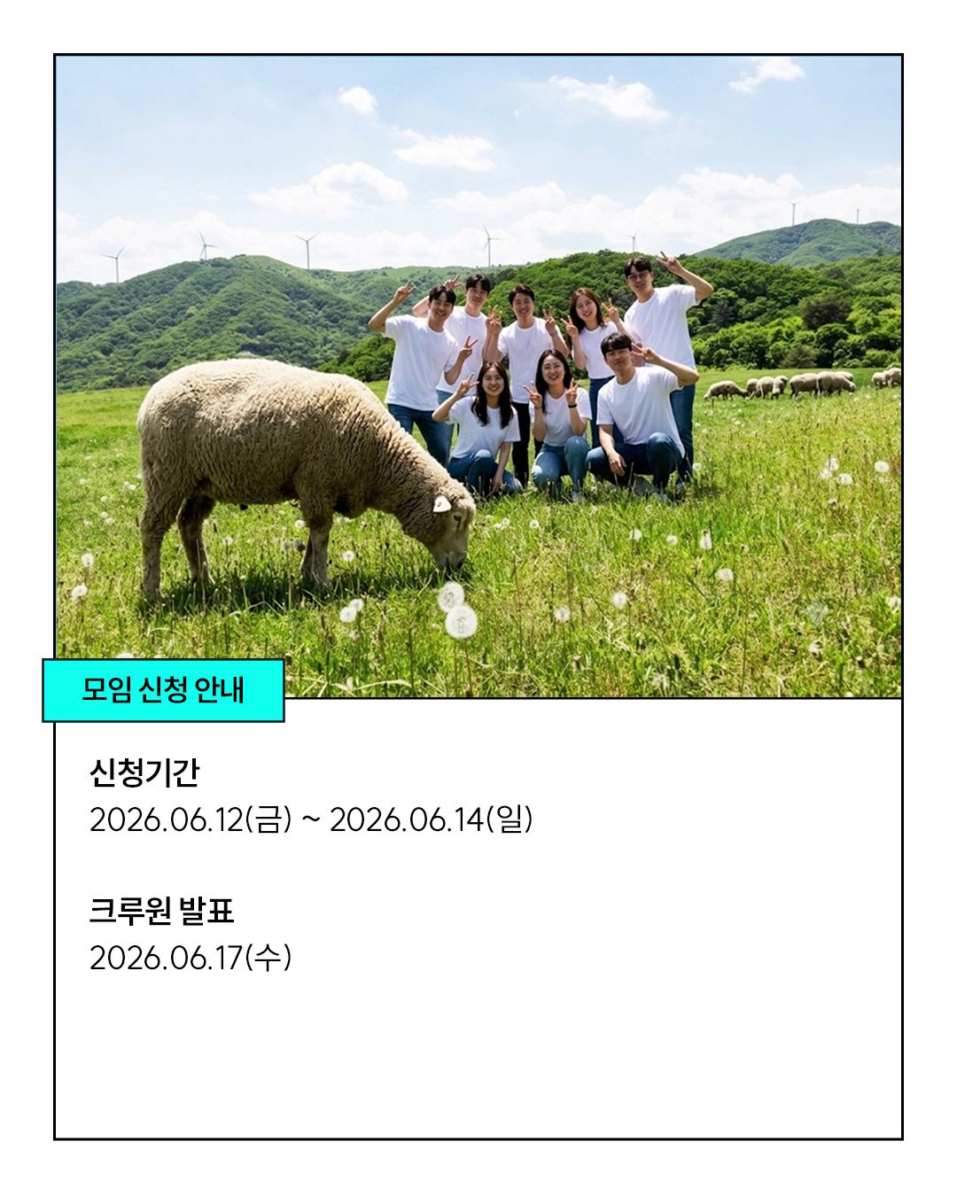 디자이너 도매브랜드 기획 블라우스 9