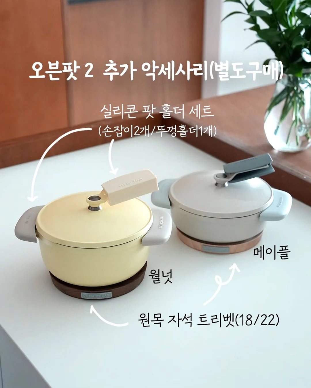쇼펜하우어 인생 수업 12