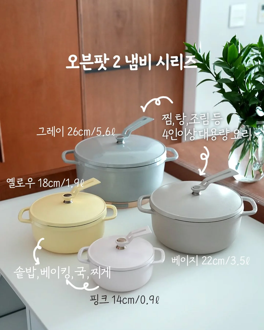 쇼펜하우어 인생 수업 3