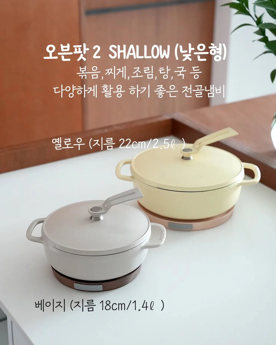 쇼펜하우어 인생 수업 8