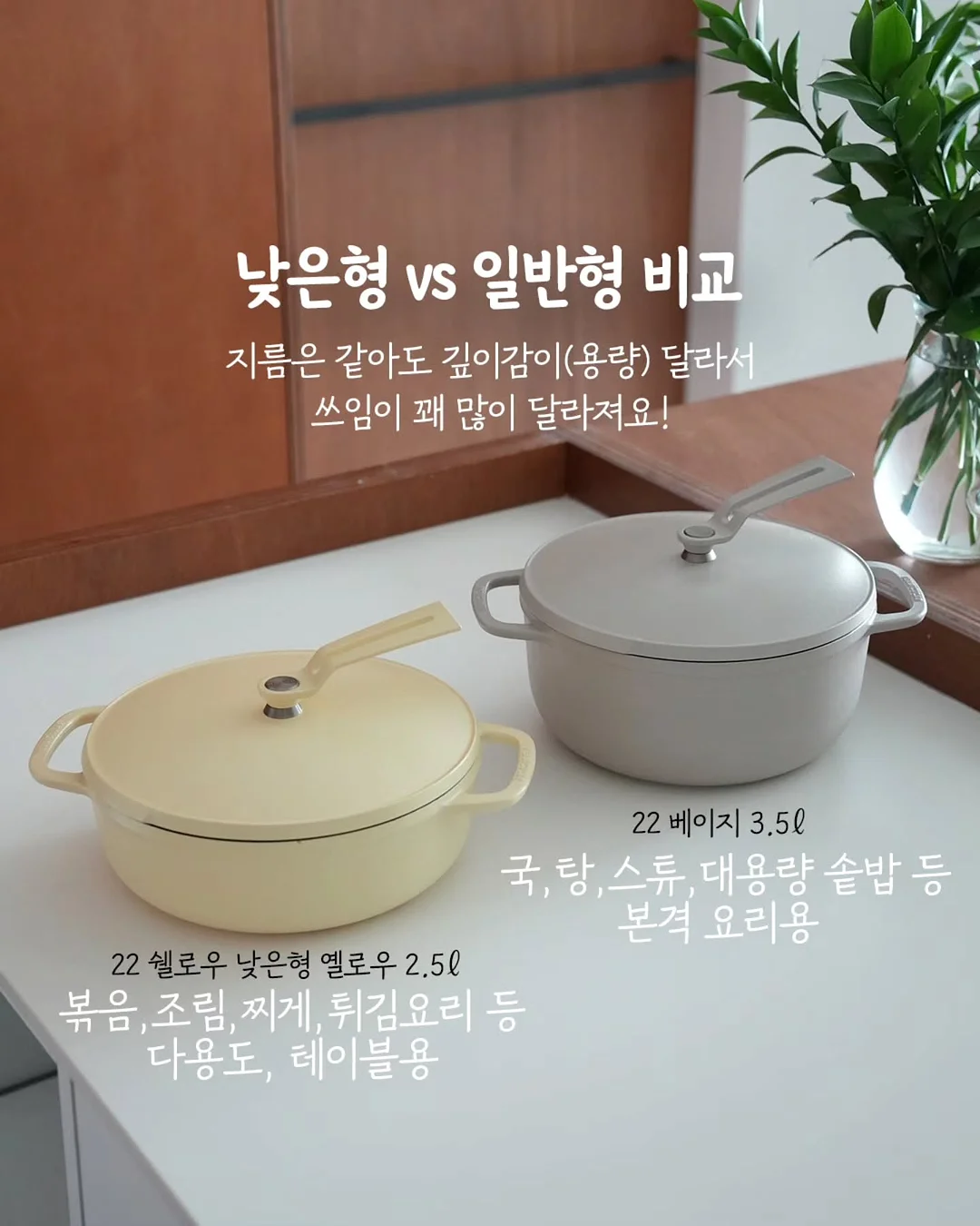 쇼펜하우어 인생 수업 10
