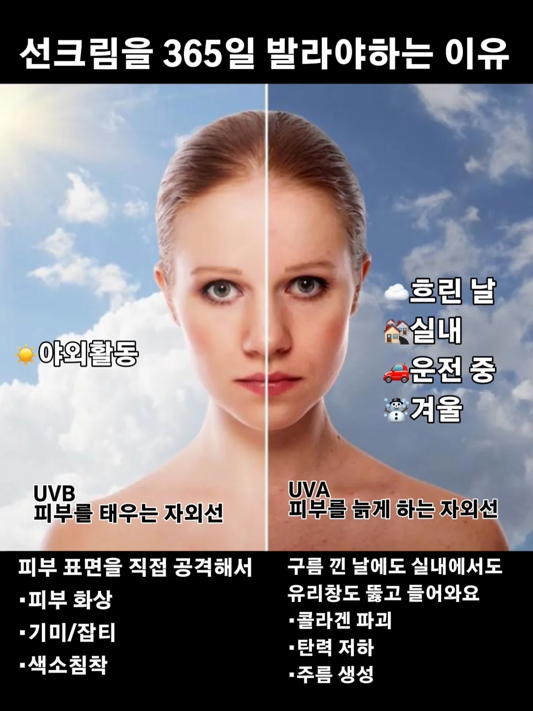 우드미듐1호 메론 9