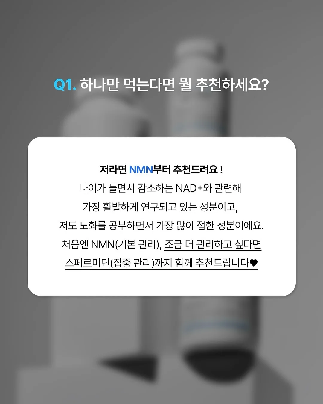 방목형 닭장 2