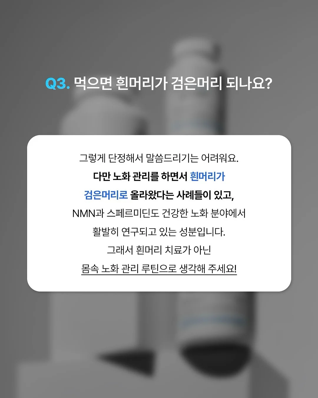 방목형 닭장 4