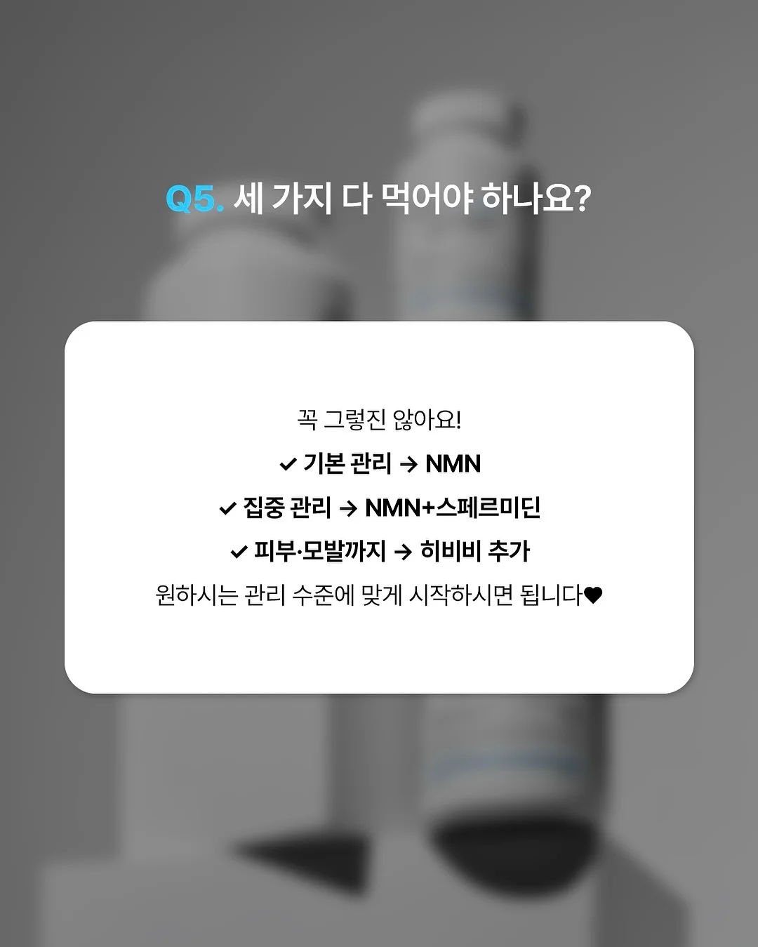 방목형 닭장 6