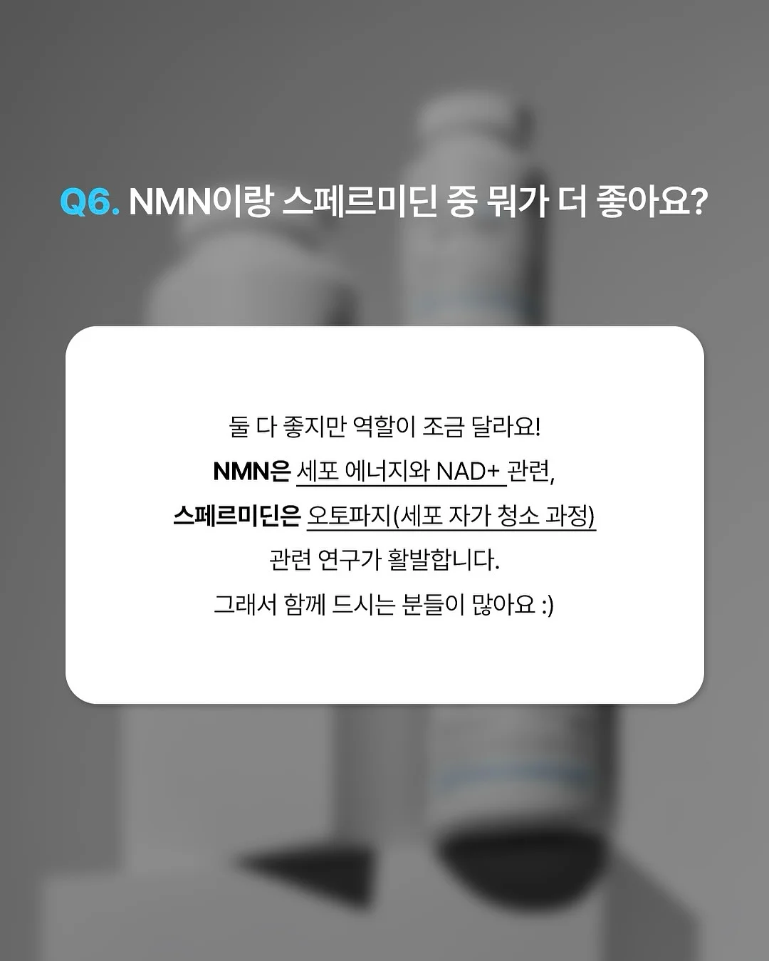 방목형 닭장 7