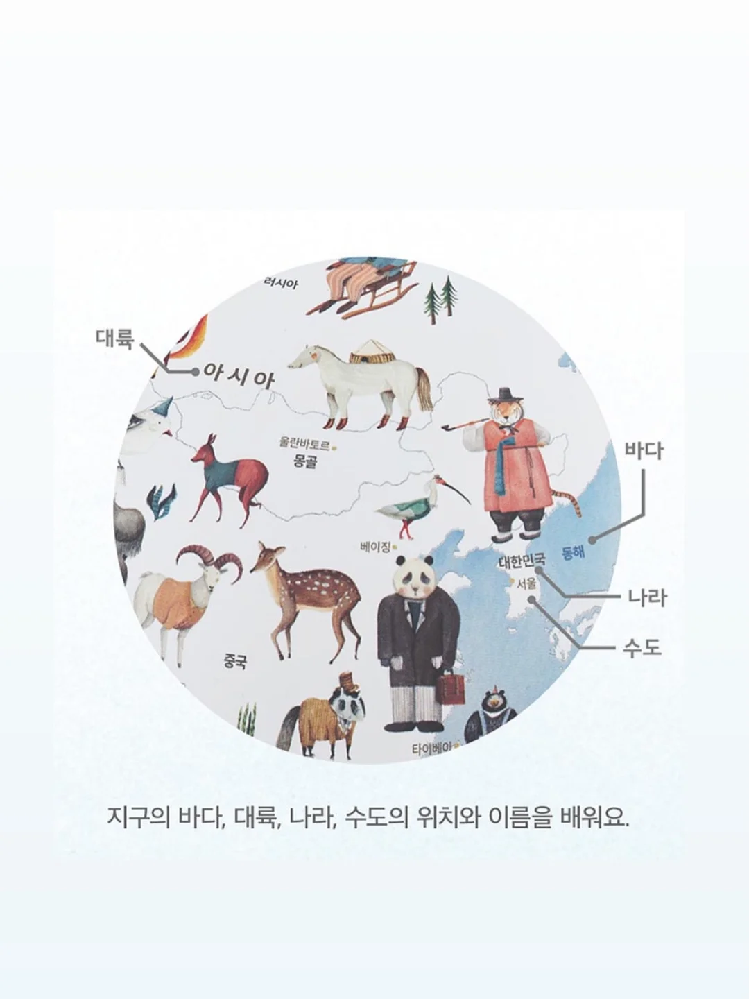 테리크 수건 11