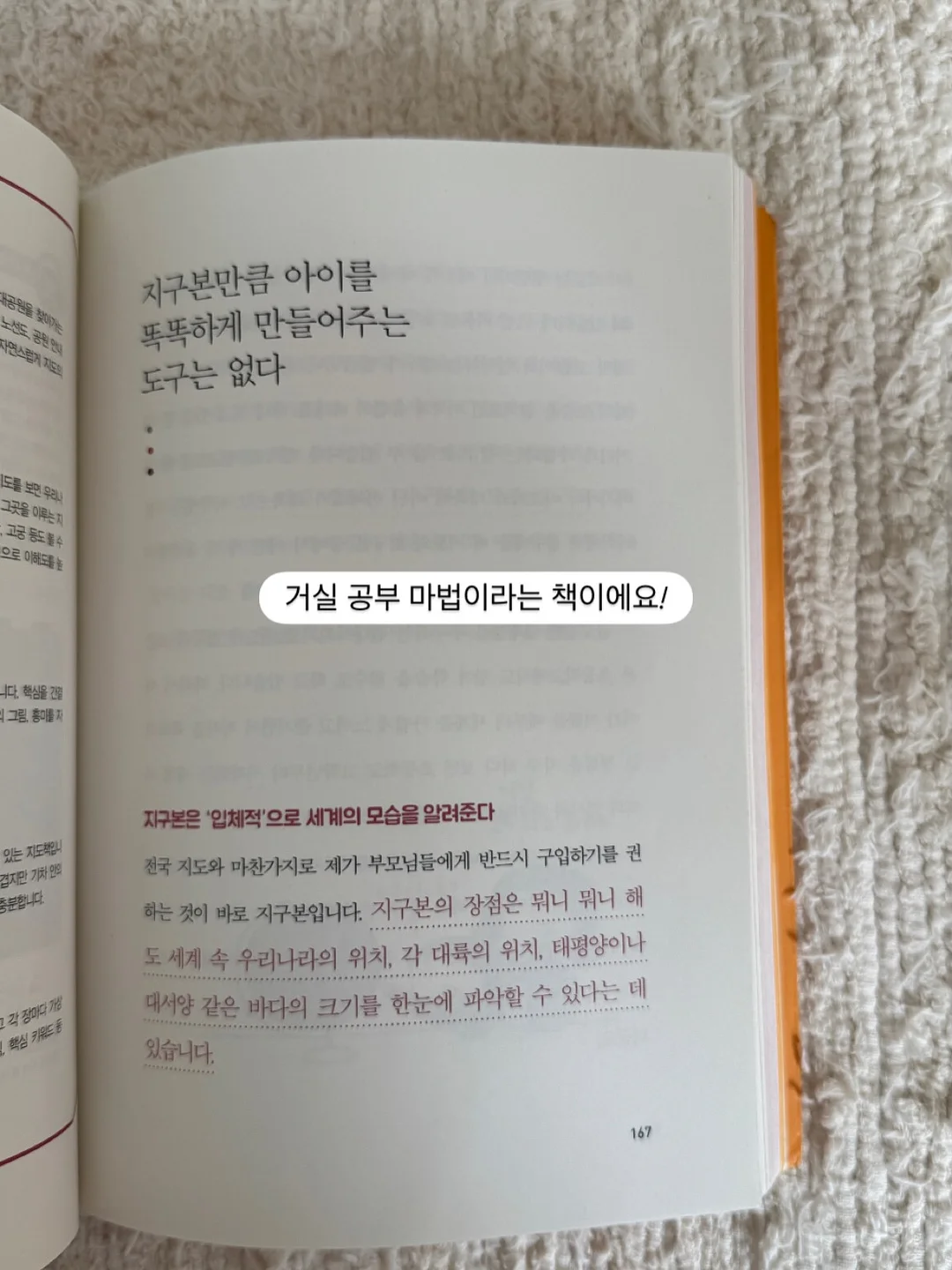 테리크 수건 15