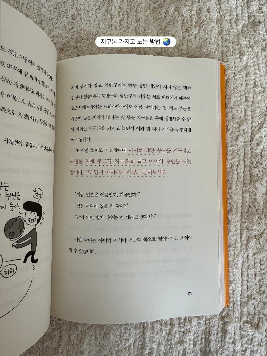 테리크 수건 16