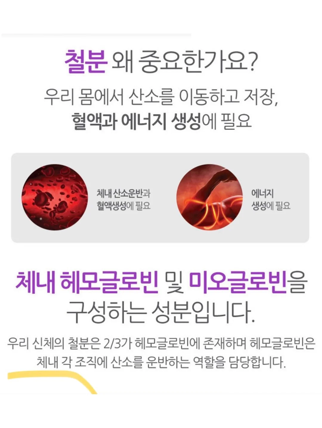 계란 11