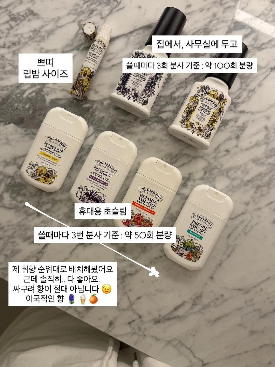애니멀 비치가운 4