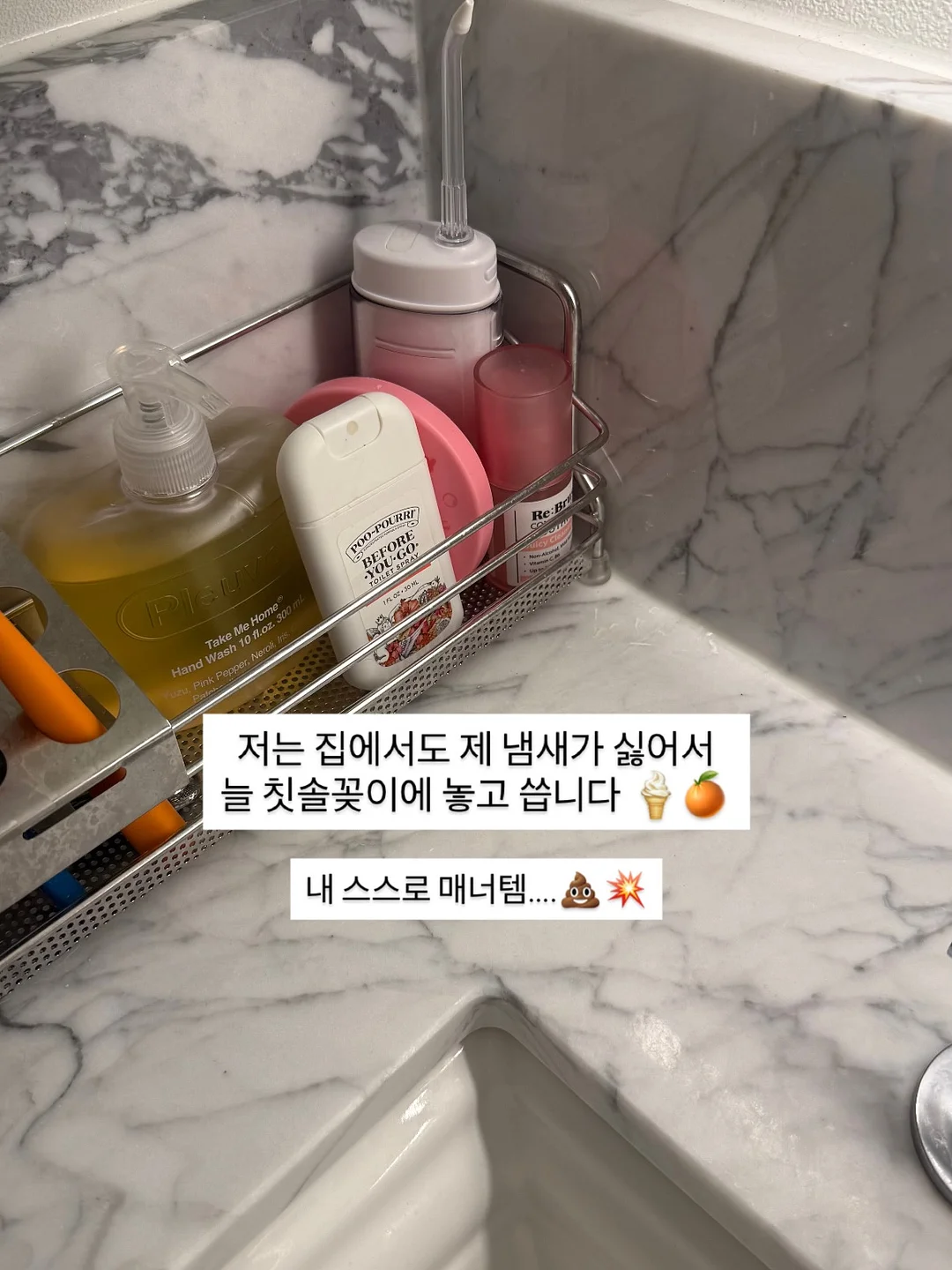 애니멀 비치가운 5