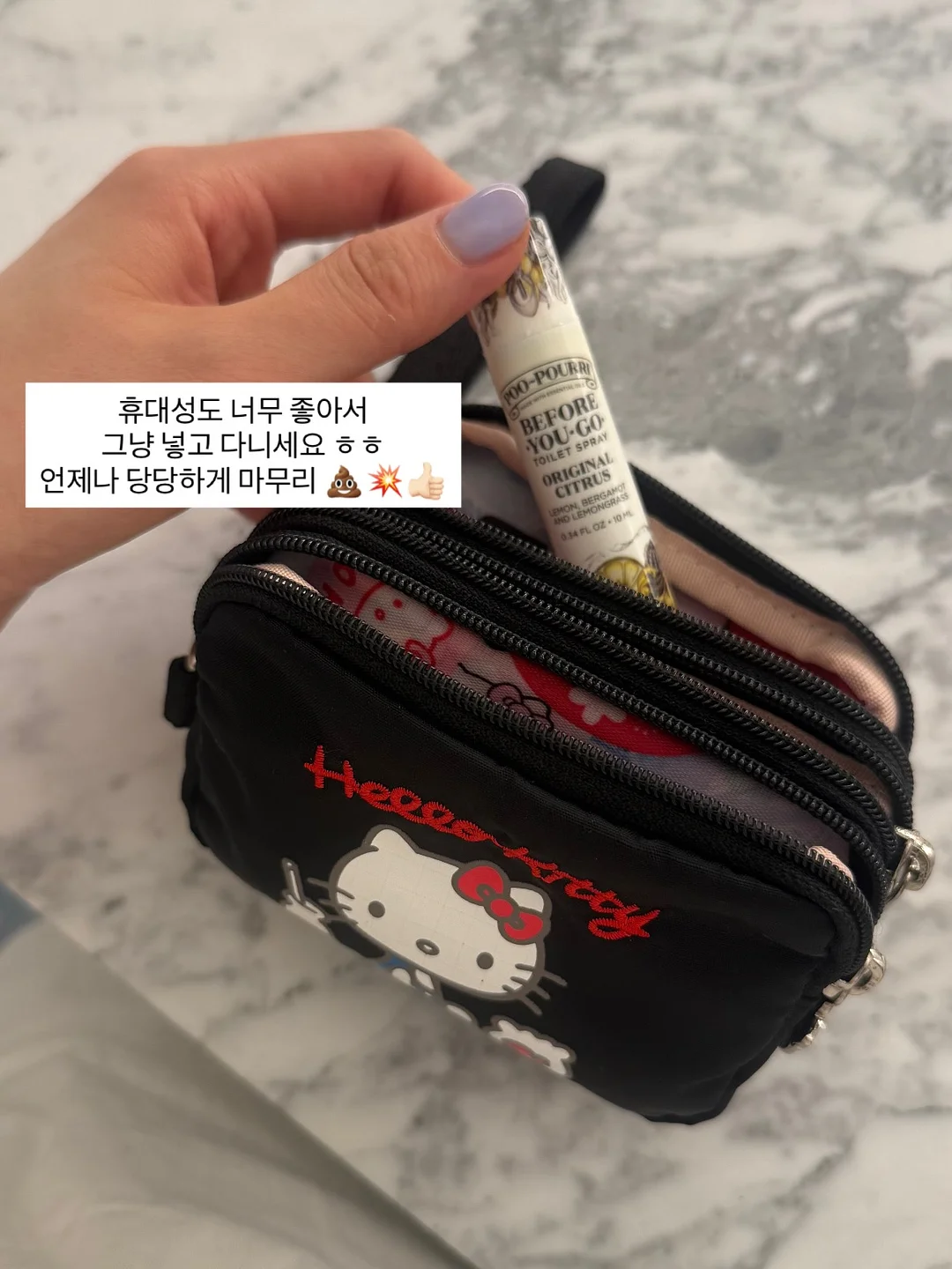 애니멀 비치가운 6