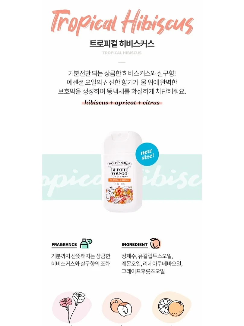 애니멀 비치가운 10