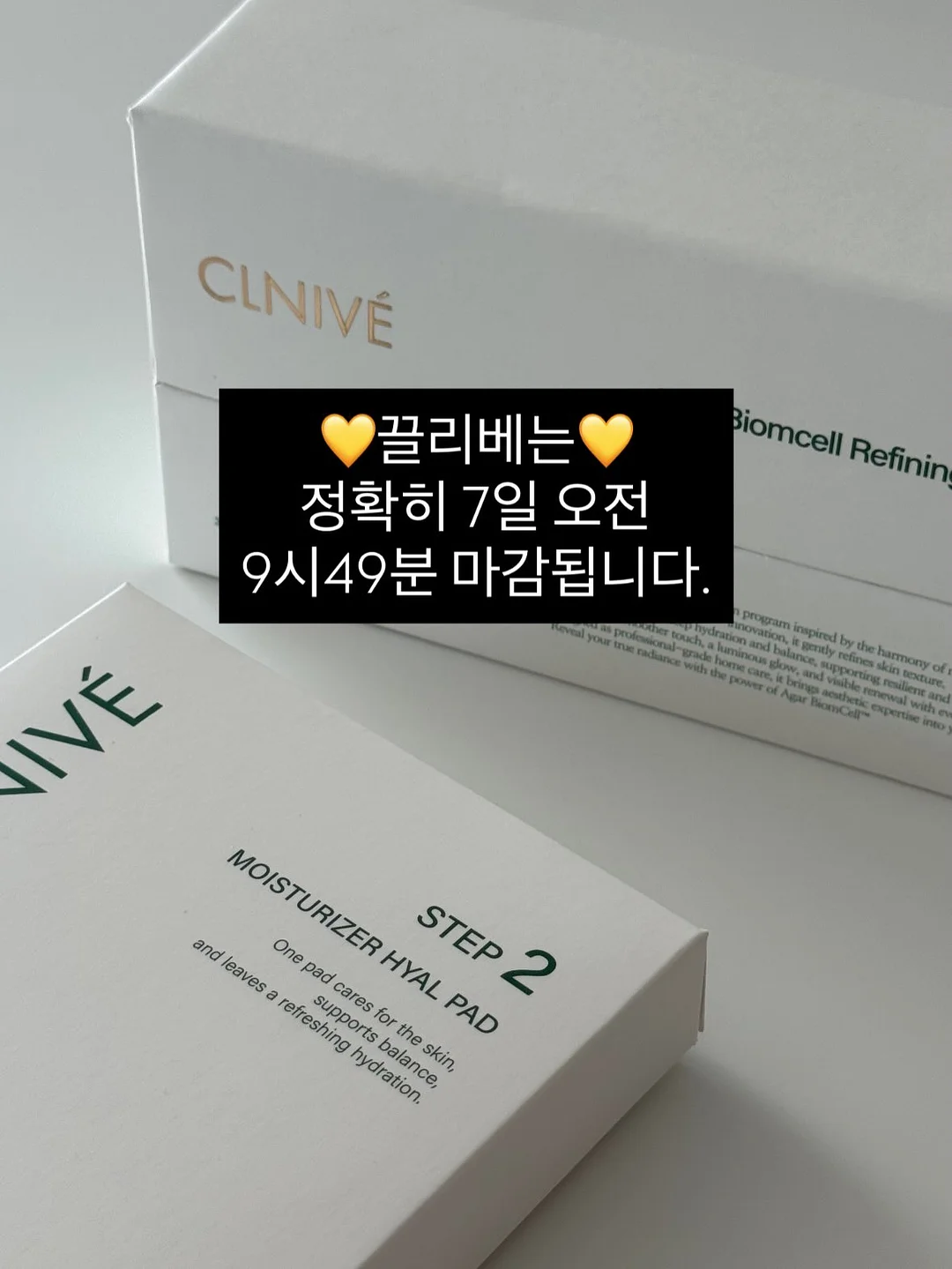 머슬티 1