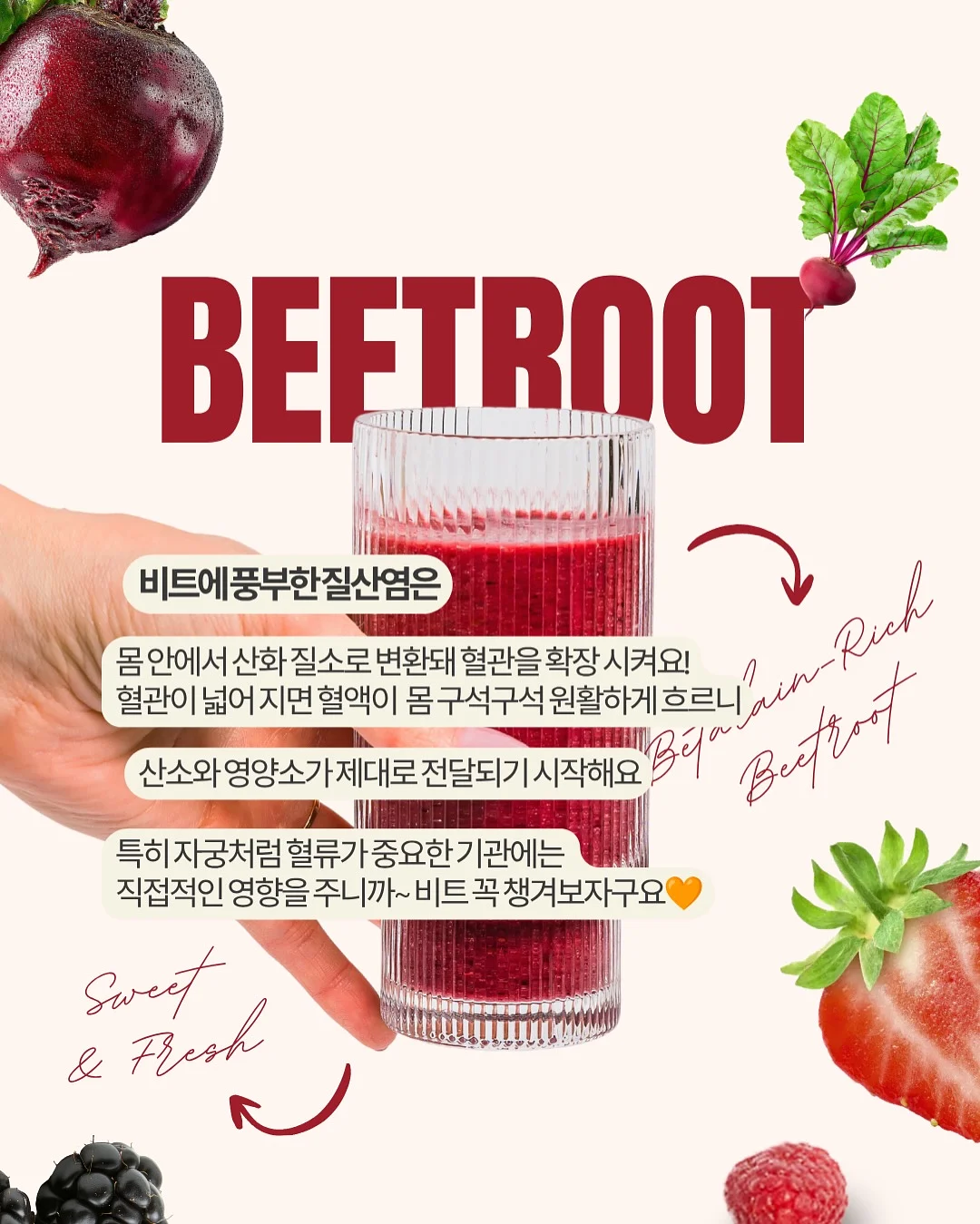 다룸 음식물처리기 2