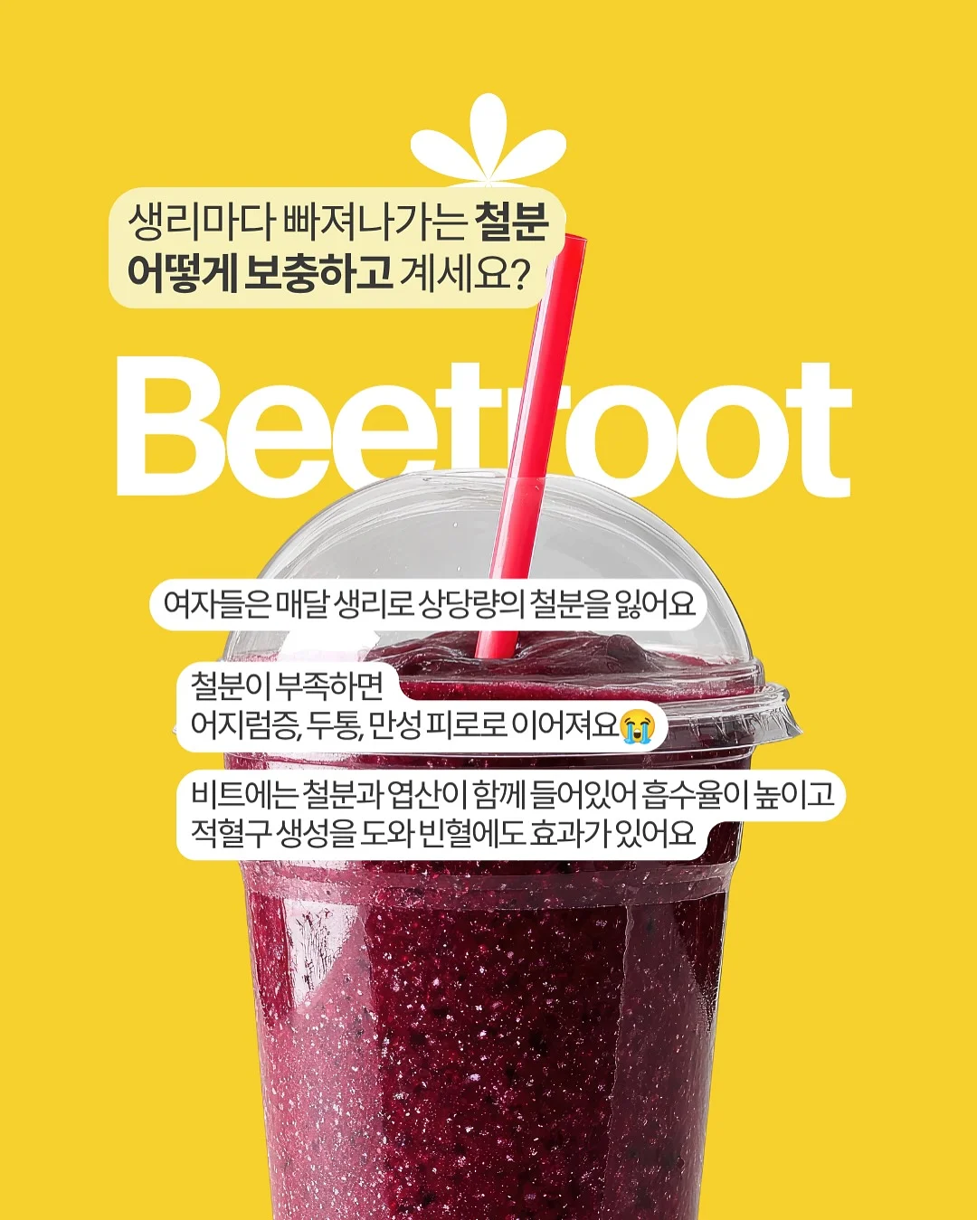 다룸 음식물처리기 4