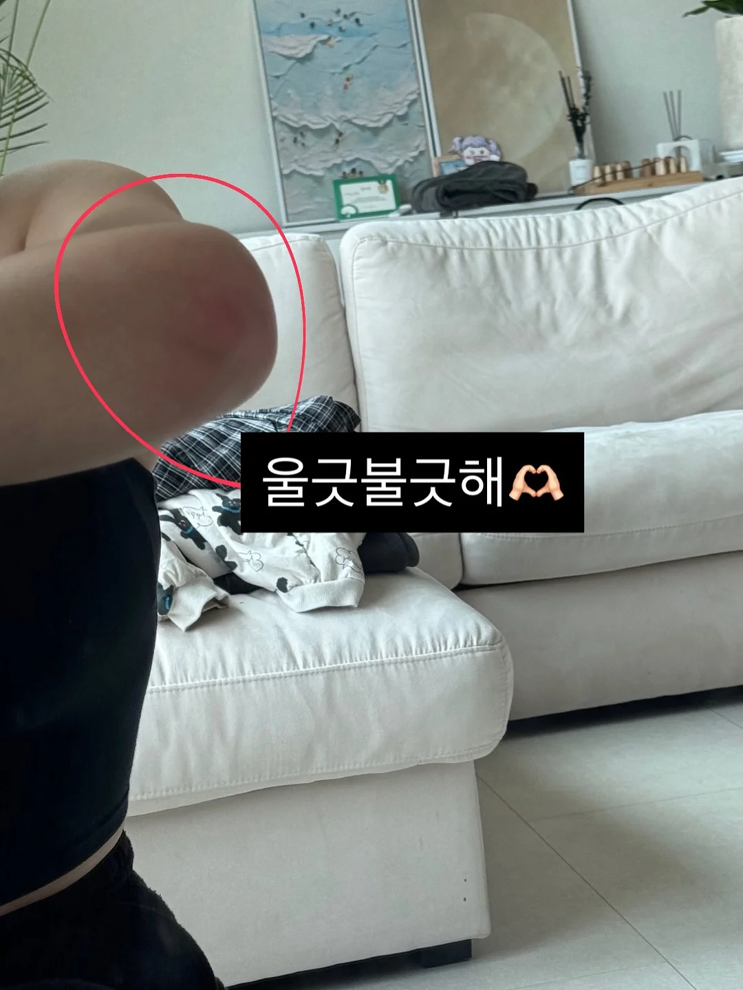 초미니 양우산 자동 분리 충전기 4