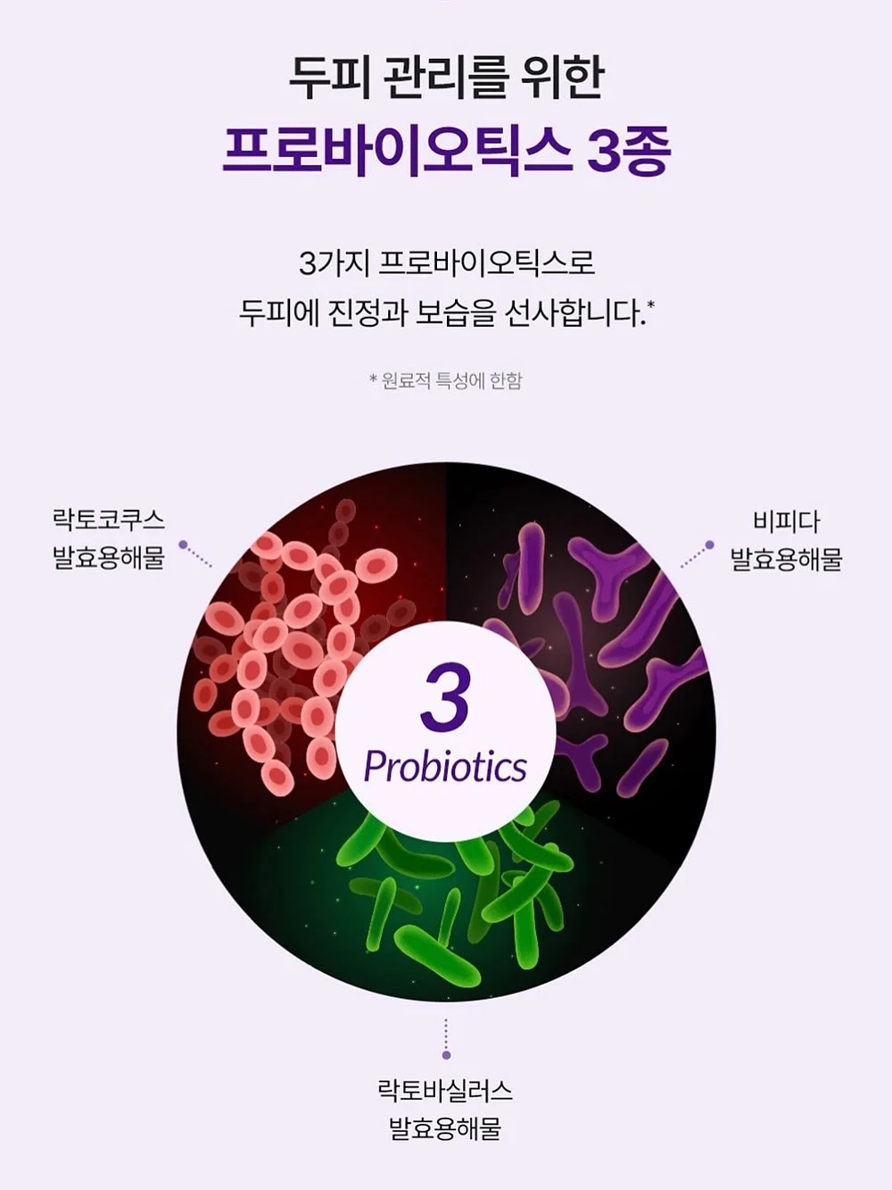 뉴데이뉴미 여름 출근룩 11