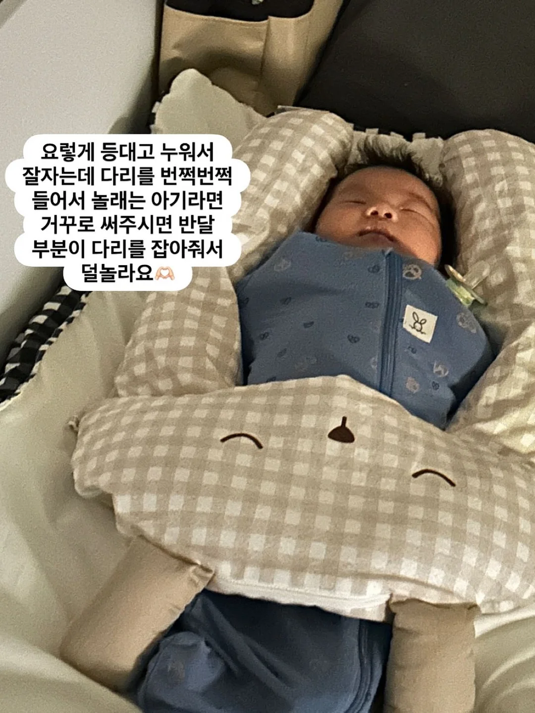 치즈스틱 5