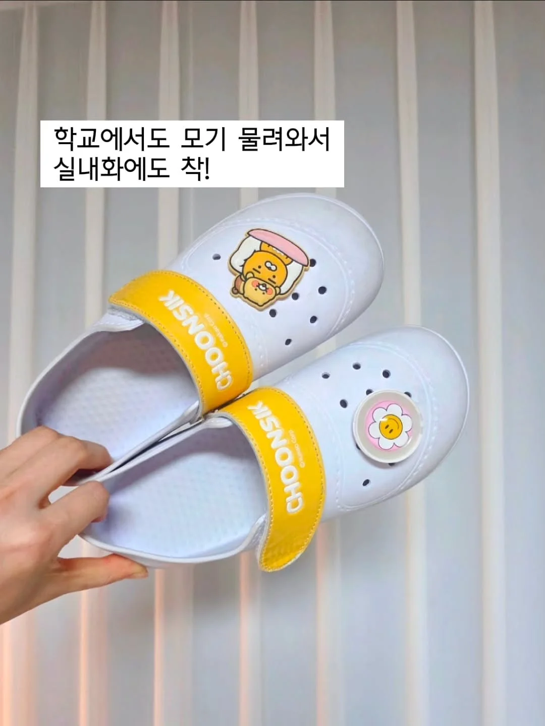 진정 시카크림 10