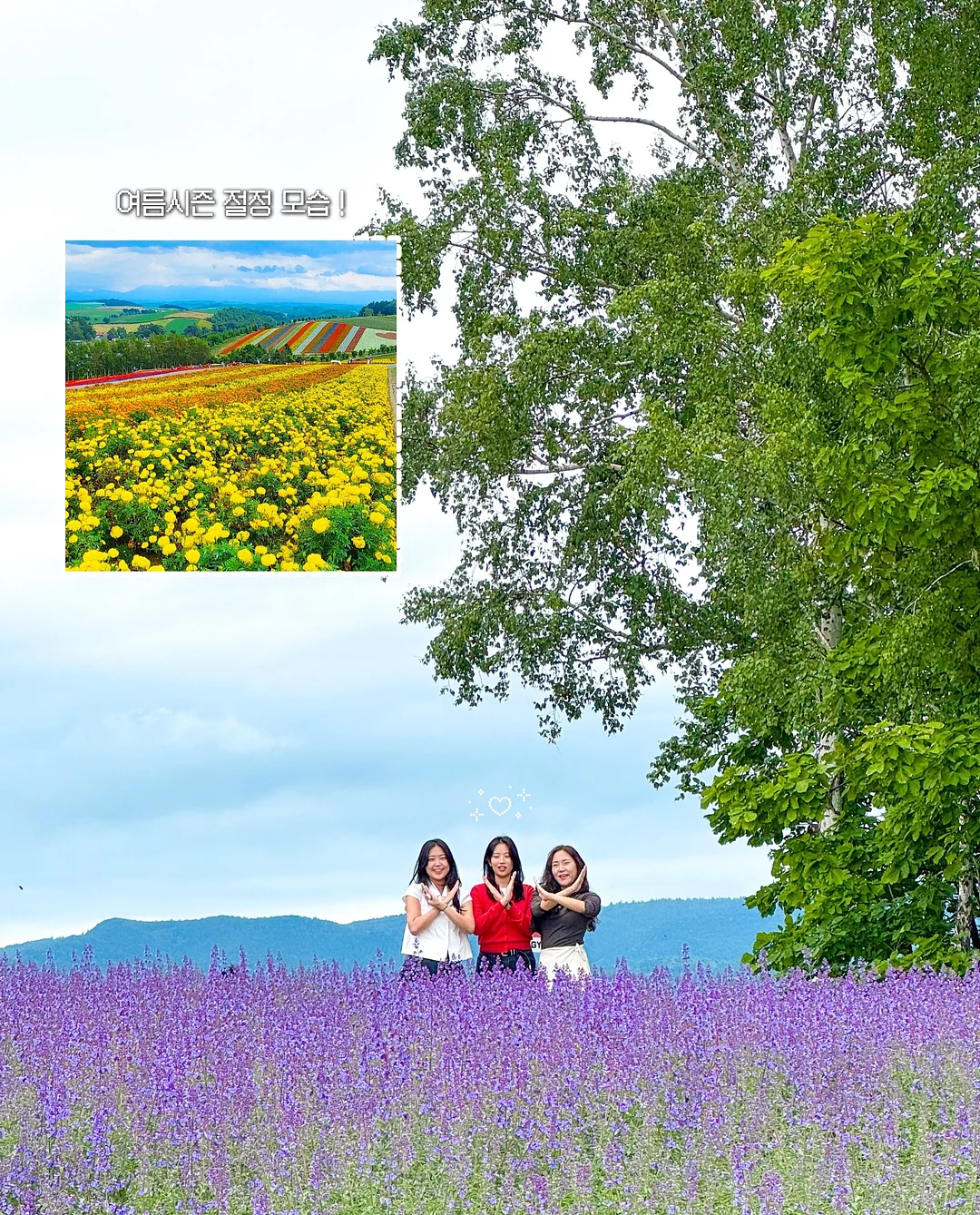 변기 곰팡이 제거제 15