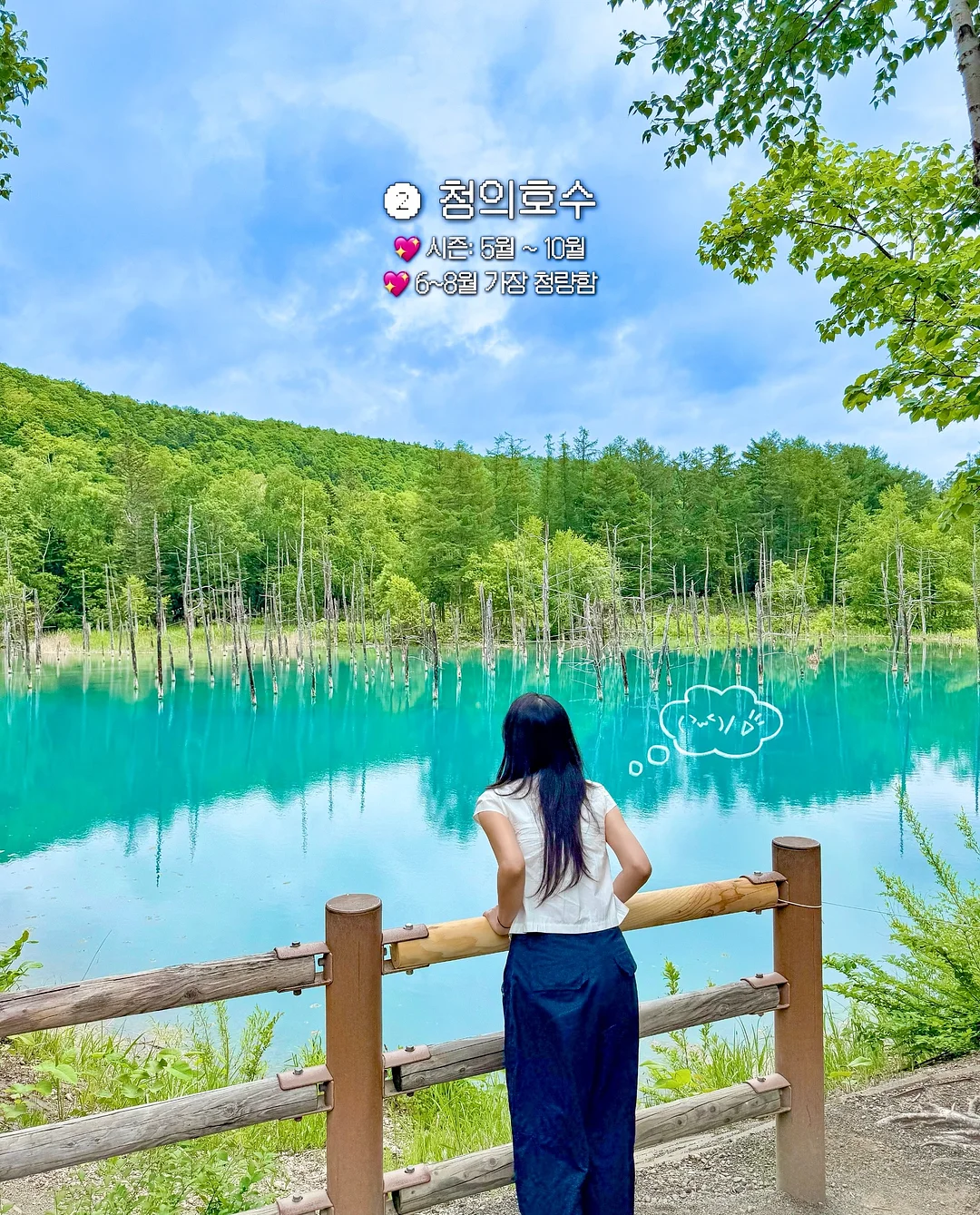 변기 곰팡이 제거제 6