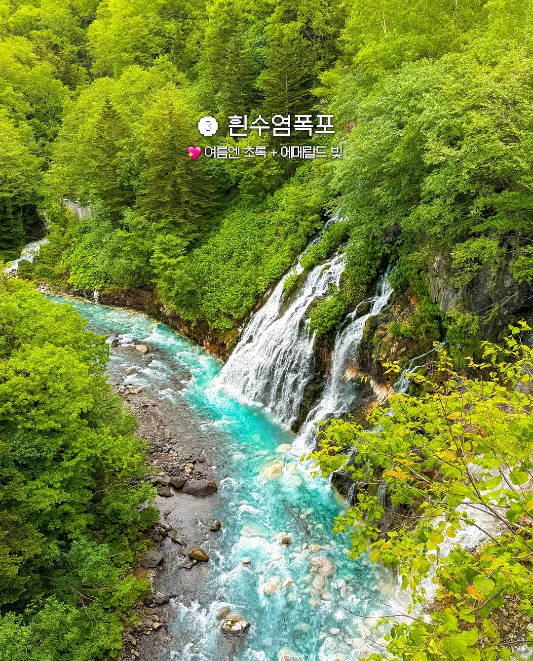 변기 곰팡이 제거제 8