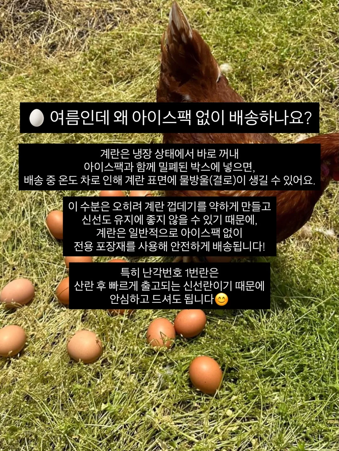 findmywhy 자기이해 서비스 11