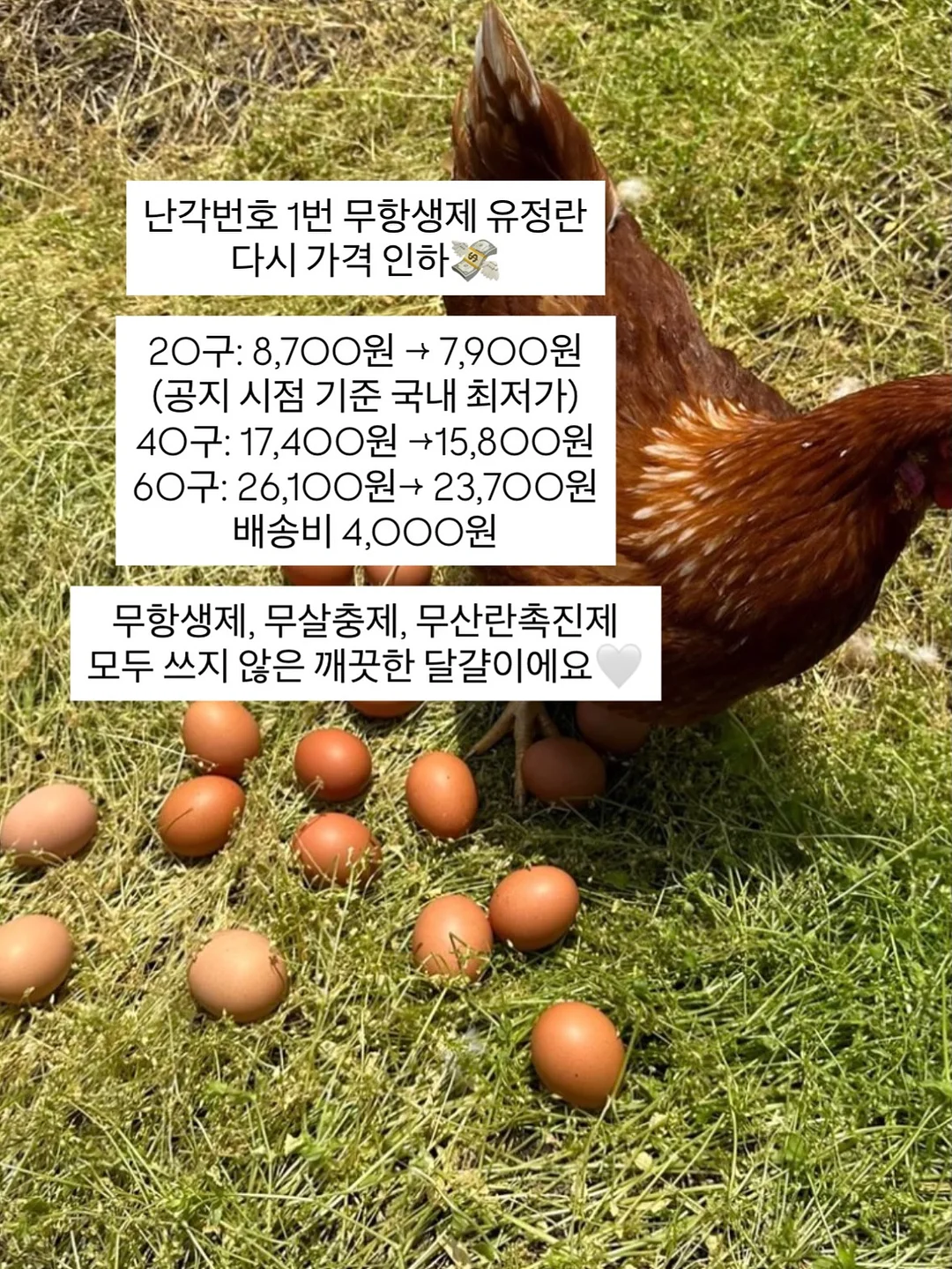 findmywhy 자기이해 서비스 2
