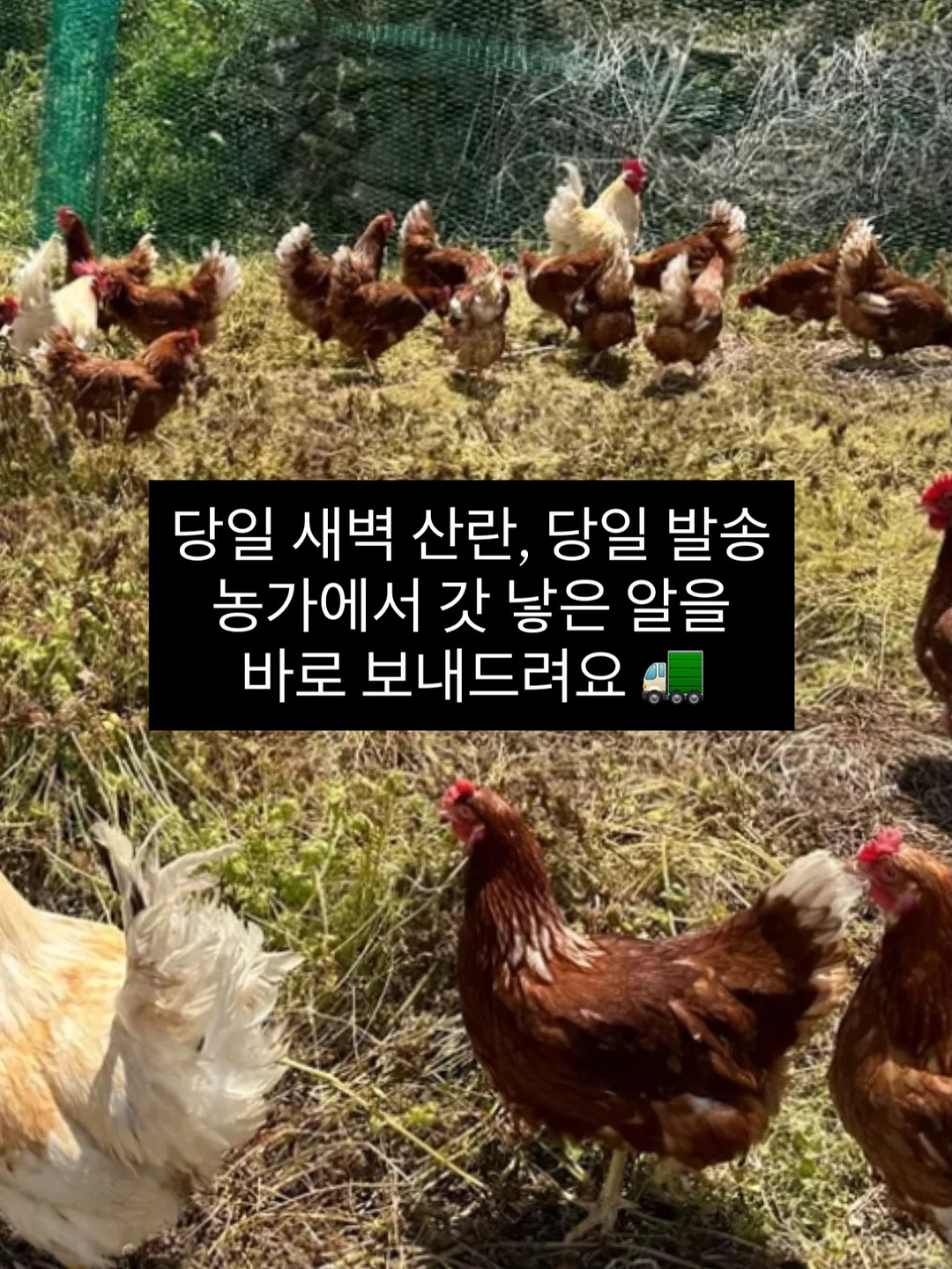 findmywhy 자기이해 서비스 6