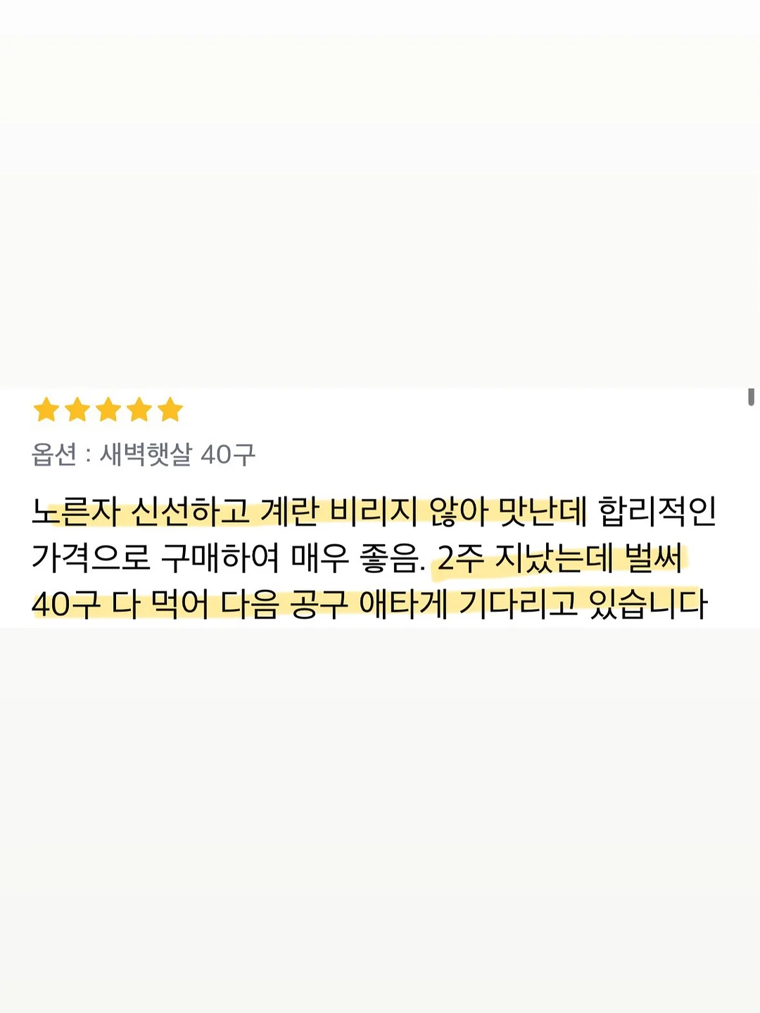 findmywhy 자기이해 서비스 9