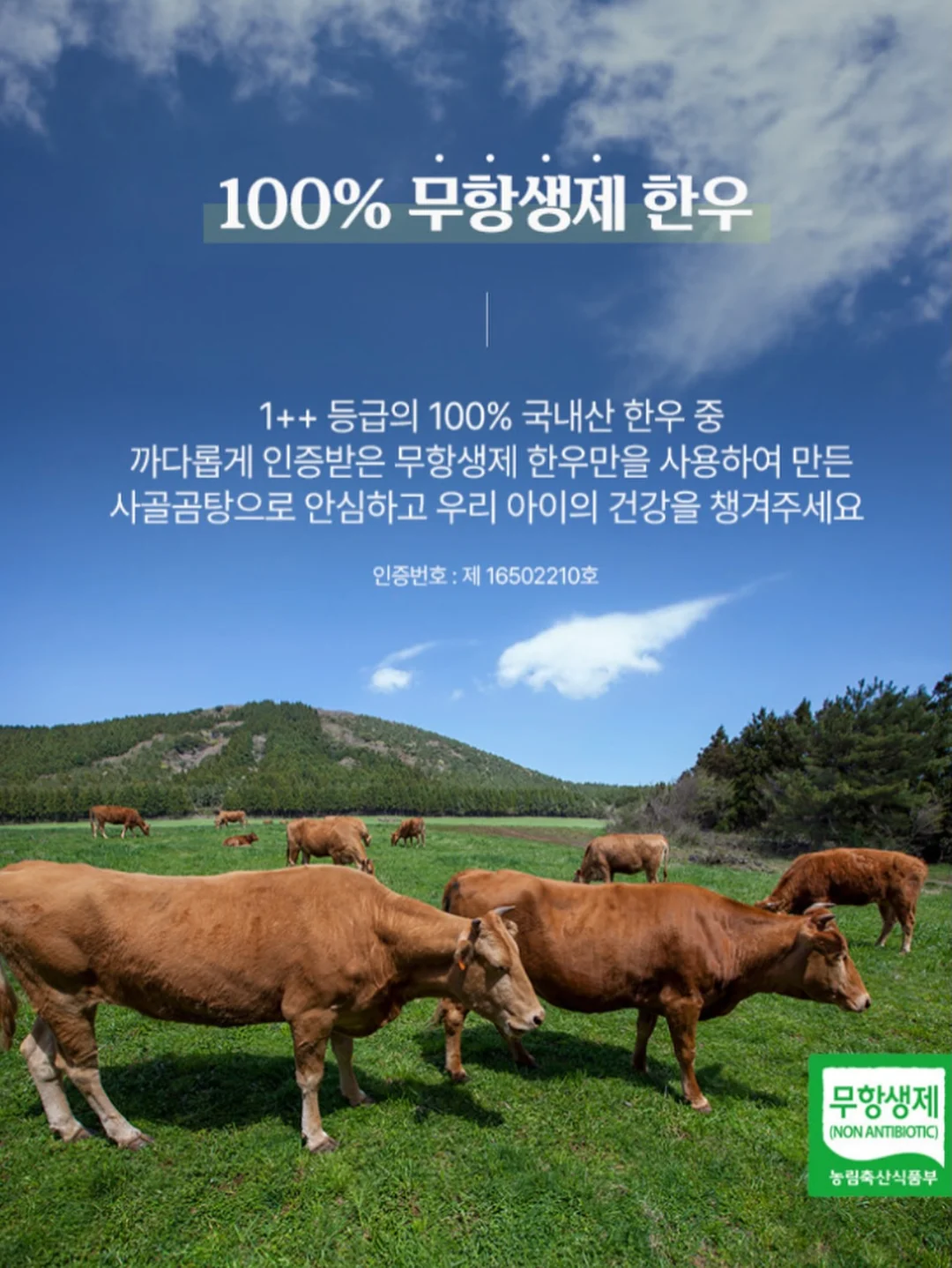 홈슈젝 4