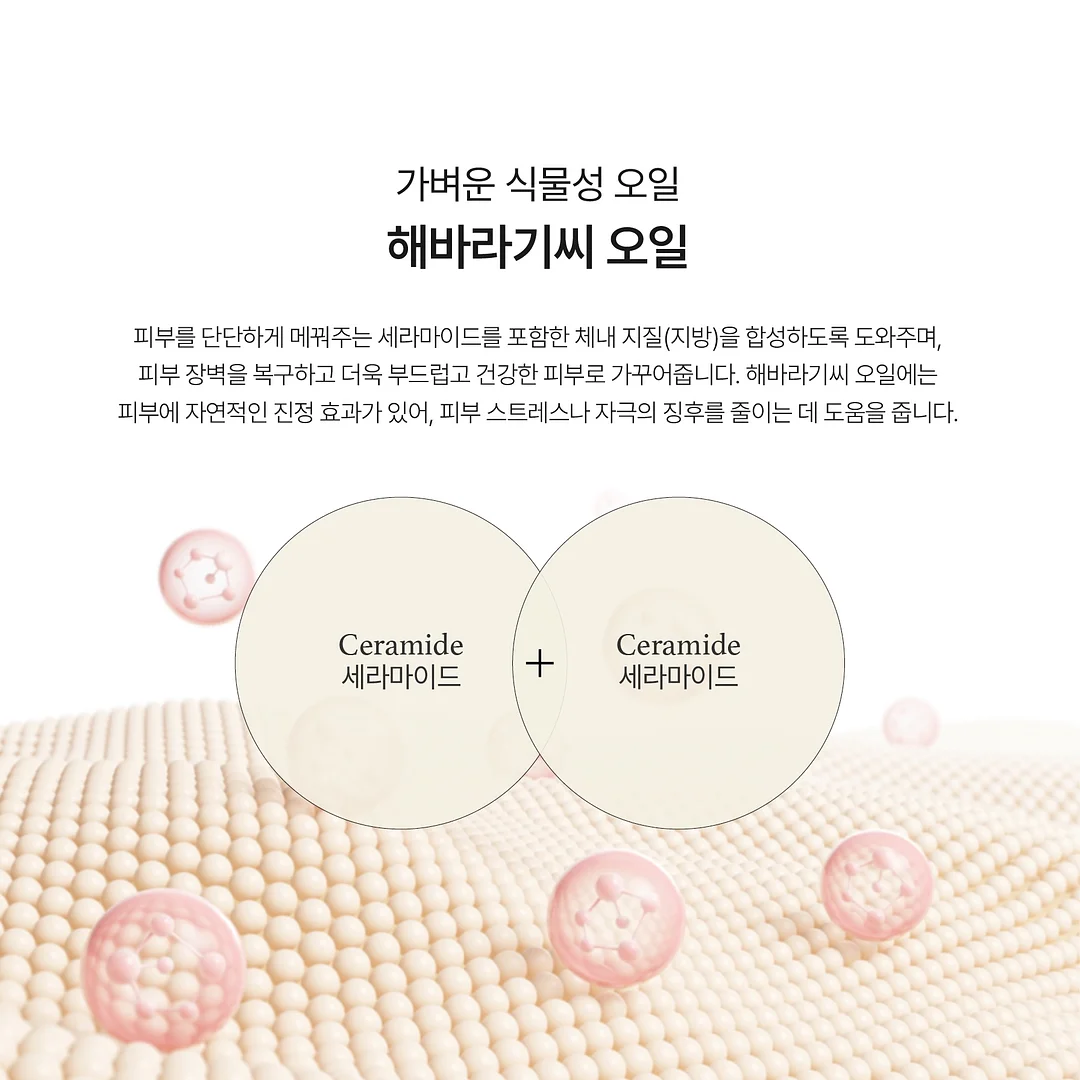 미끄럼 방지 코팅제 12