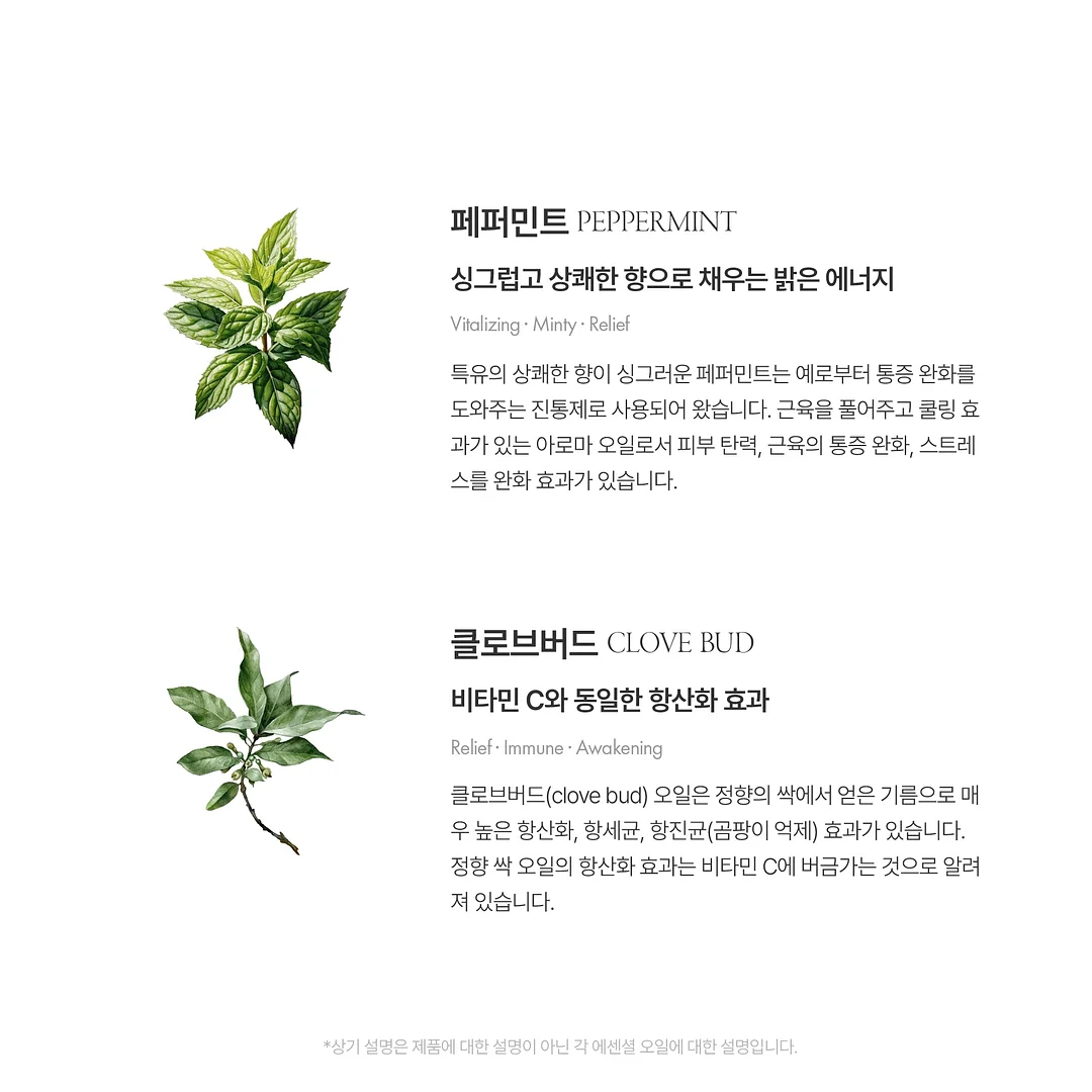미끄럼 방지 코팅제 6
